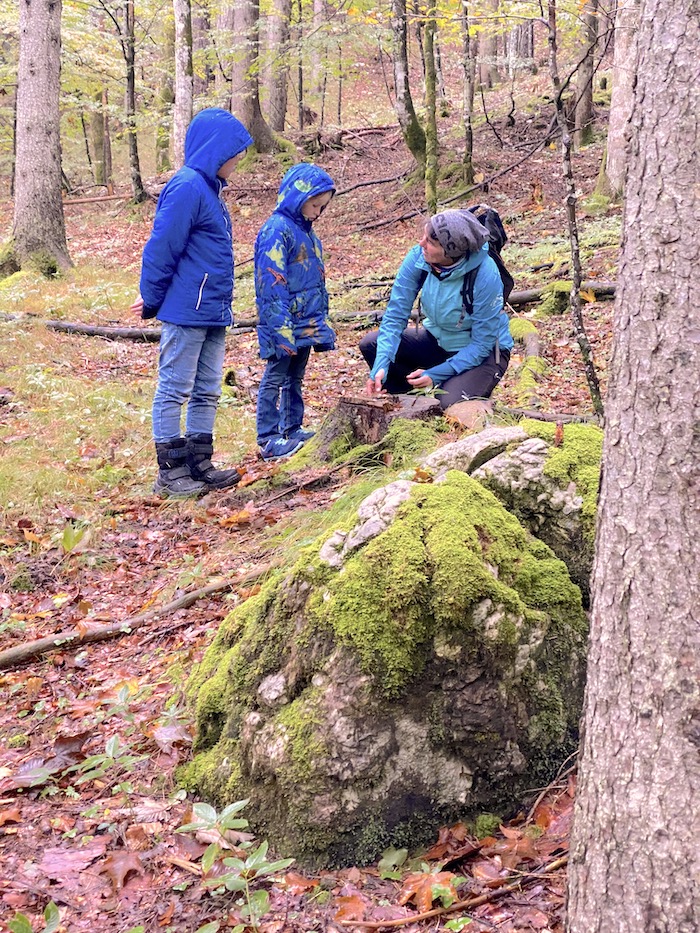 Waldbaden mit Kindern in Waidring im PillerseeTal