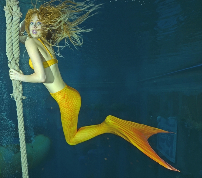 Elischeba Wilde - stylische Mermaid under water