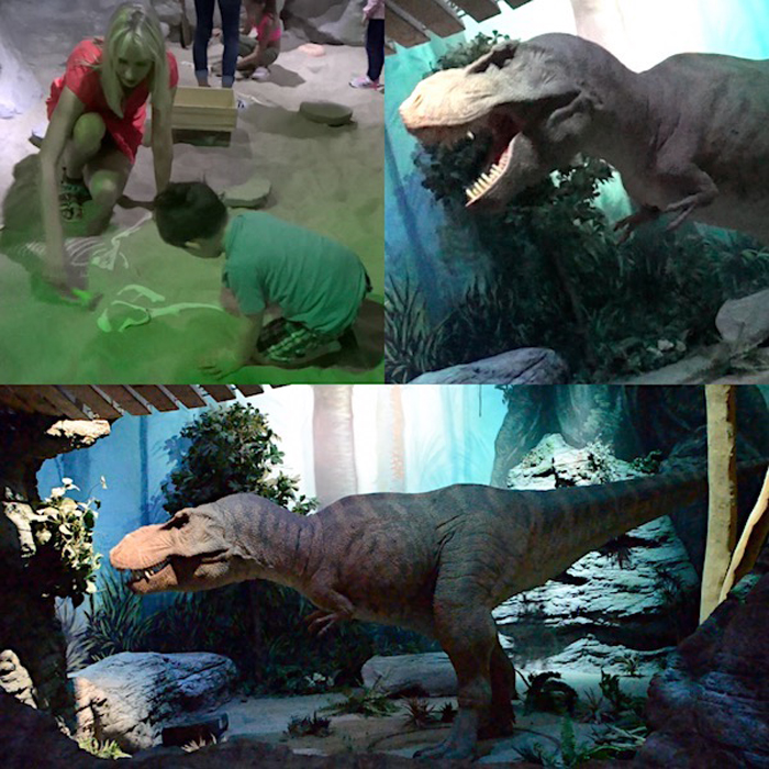Dinosaurier im Museum - Odysseum in Köln