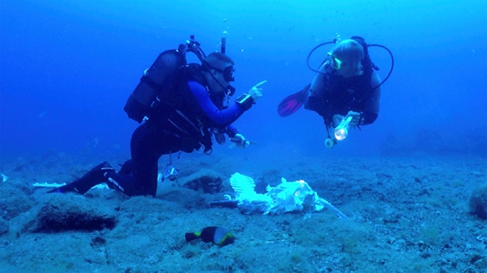 Taucher entdecken Schwertfischskelett am Meeresgrund vor Gran Canaria