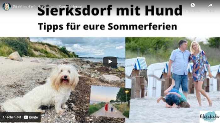 ElischebaTV_365 Sierksdorf mit Hund