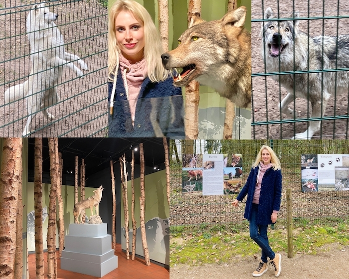 Wolfcenter in Dörverden - Elischeba Wilde - Collage