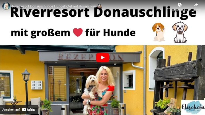 ElischebaTV_381 Riverresort Donauschlinge - Hotel mit Herz für Hunde