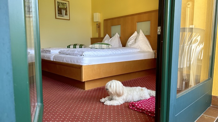 Blick ins Hotelzimmer mit Hund - Riverresort Donauschlinge