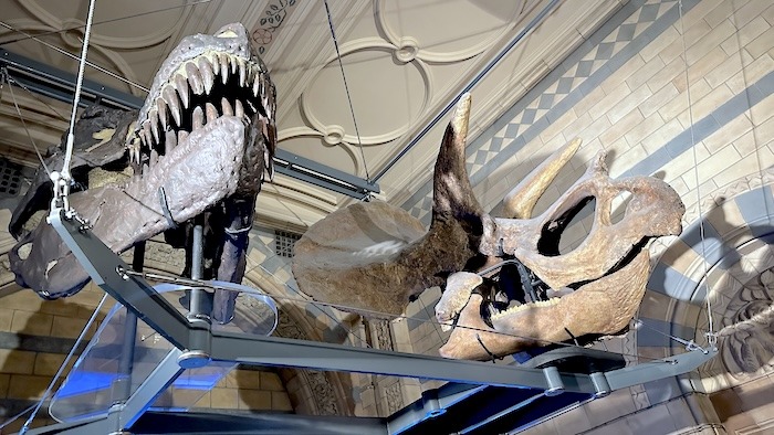 Dinosaurier im Naturkundemuseum in London