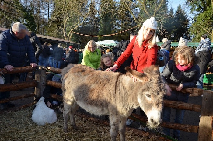 Elischeba Wile mit Esel auf dem Weihnachtsmarkt in Marbeck