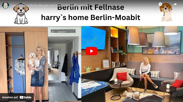 ElischebaTV_391 - harrys home Berlin Moabit