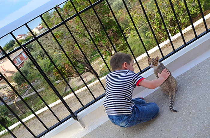 Korfu mit Katze