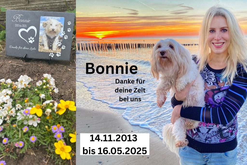 Gedenken an Bonnie Hundetrauer Regenbogenbrücke