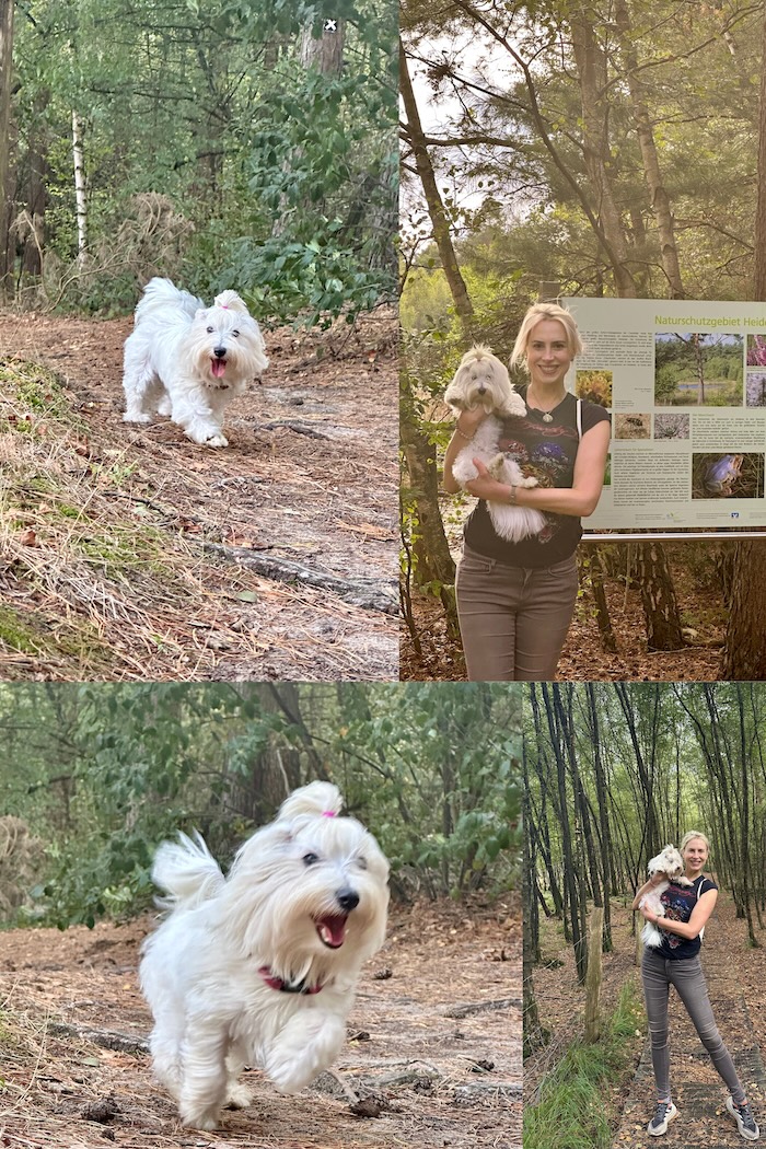 Elischeba Wilde mit Hund am Heidesee bei Coesfeld - Collage