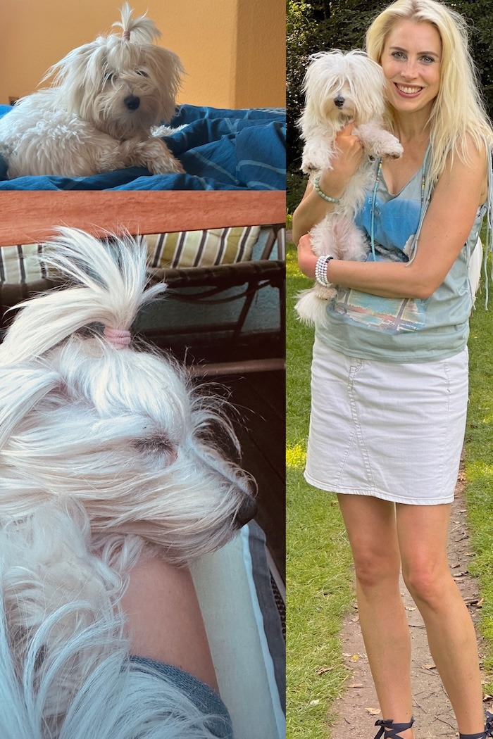 Elischebas Liebe zu ihrer Coton Hündin Billy Jean - Collage