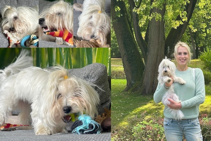 Elischebas Hundeblog mit Hündin Billy Jean - Collage