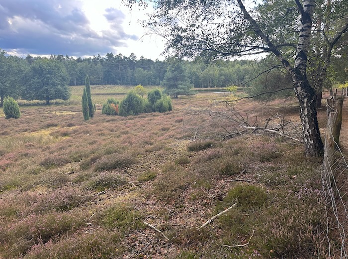 Heidesee bei Coesfeld