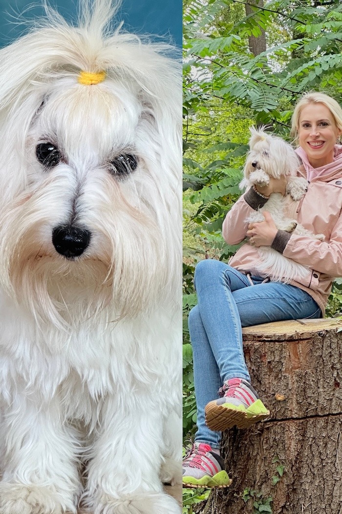 Hundeliebe - Billy Jean und Elischeba Wilde - Collage