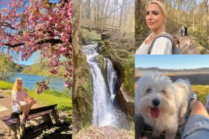 Urlaub mit Kindern preisgünstig in der Eifel