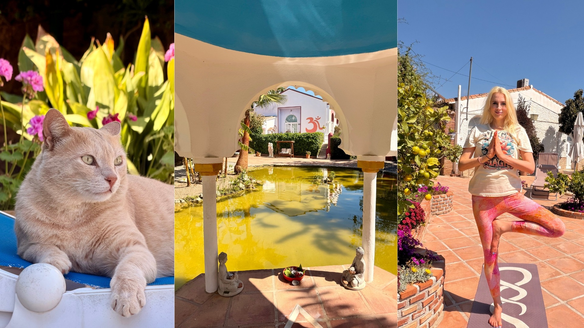 CASA EL MORISCO Yogaurlaub für Alleinreisende 