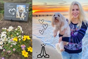 Der erste Hund wird nie vergessen
