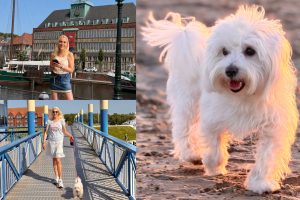 Hundeurlaub an der Nordsee