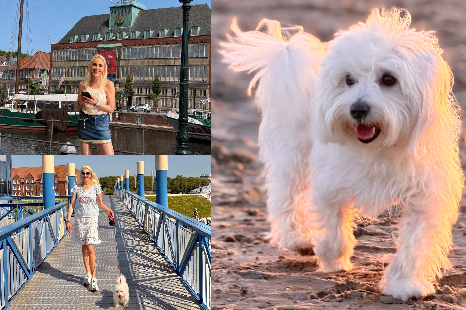 Hundeurlaub an der Nordsee