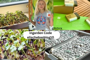 Ingarden Rabattcode elischebasblog10